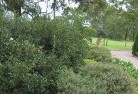 Breadalbane NSWresidential-landscaping-35.jpg; ?>