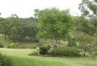 Breadalbane NSWresidential-landscaping-40.jpg; ?>